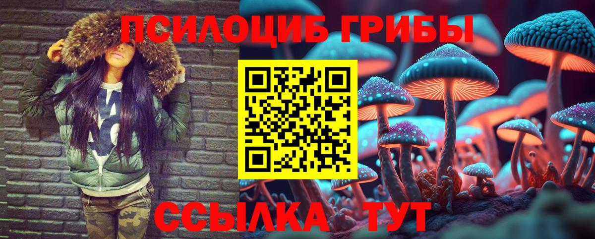 Псилоцибиновые грибы MAGIC MUSHROOMS  Вход с VPN  Печора 