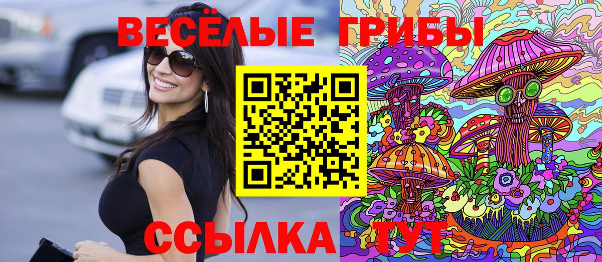 Галлюциногенные грибы Psilocybine cubensis Печора